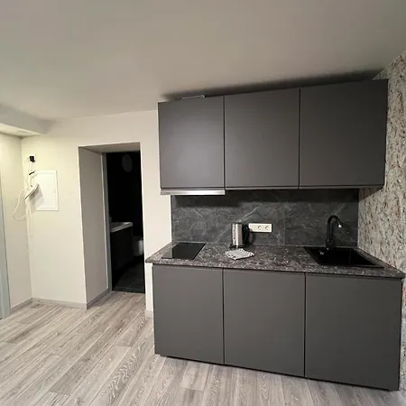 Saules Street Apartman *